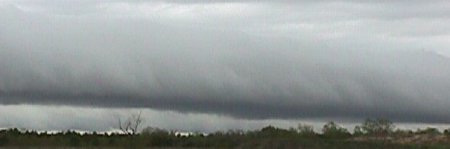 The Storm