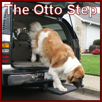 Otto Step