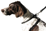 TopNotch Harness